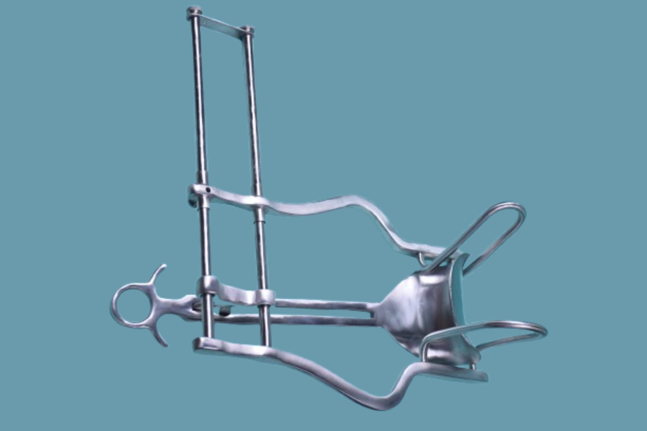 Untitled design (43)