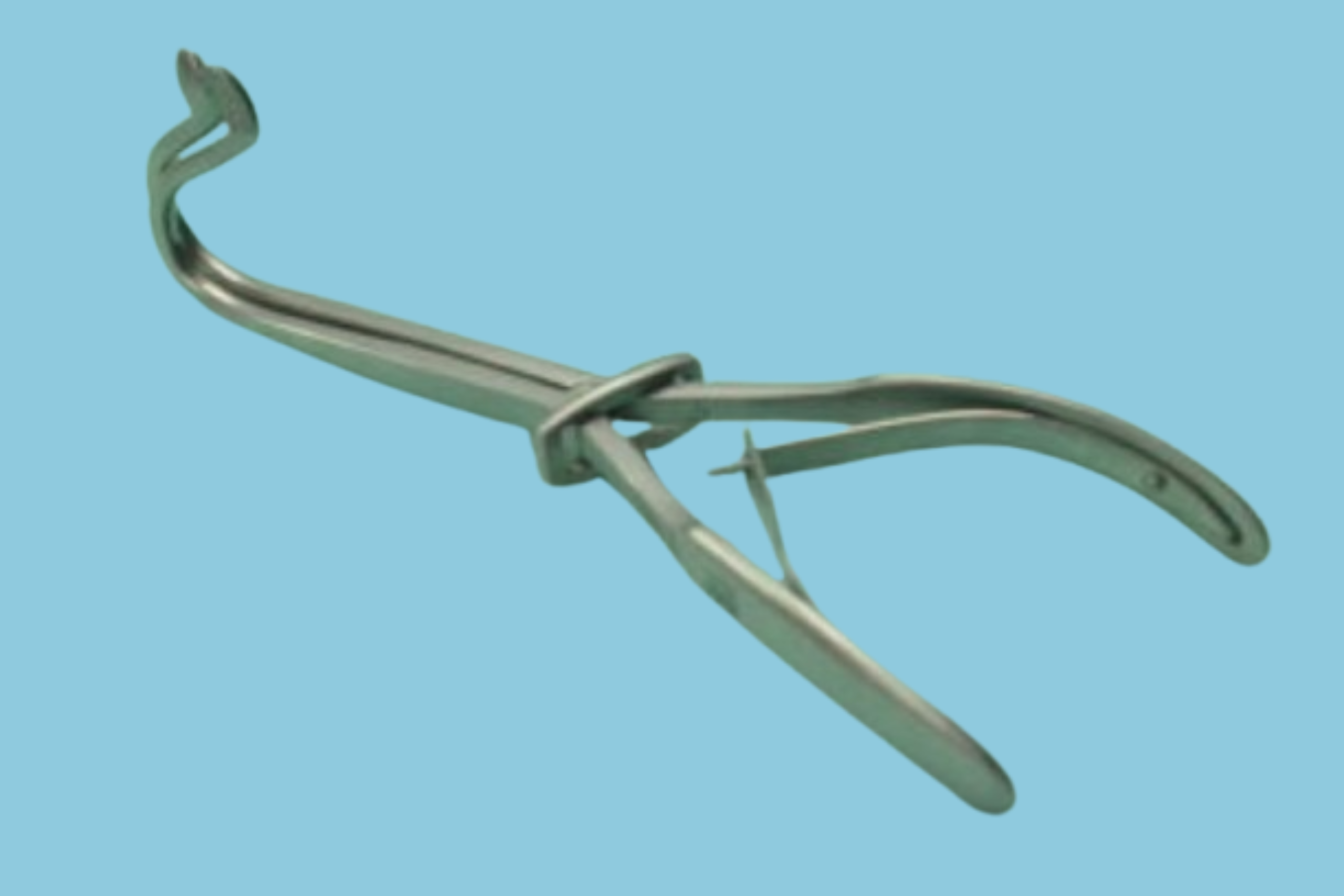 Untitled design (83)